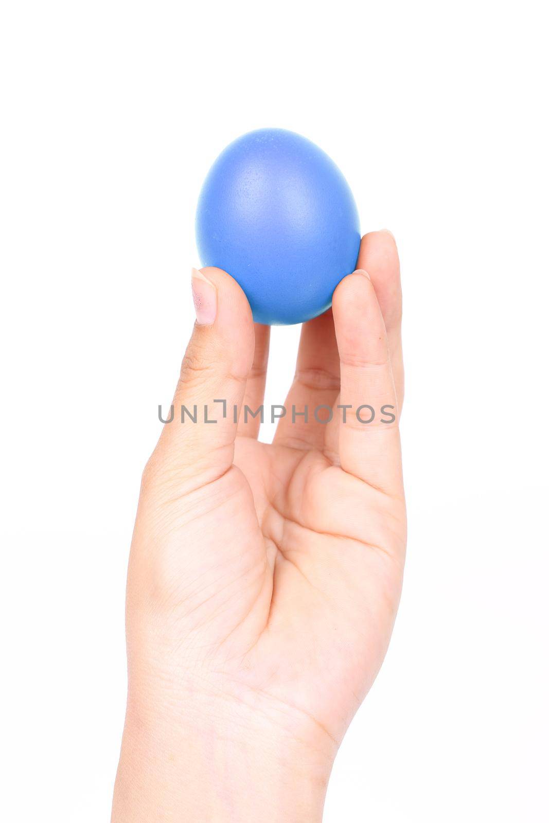 blue easter egg in hand on white background