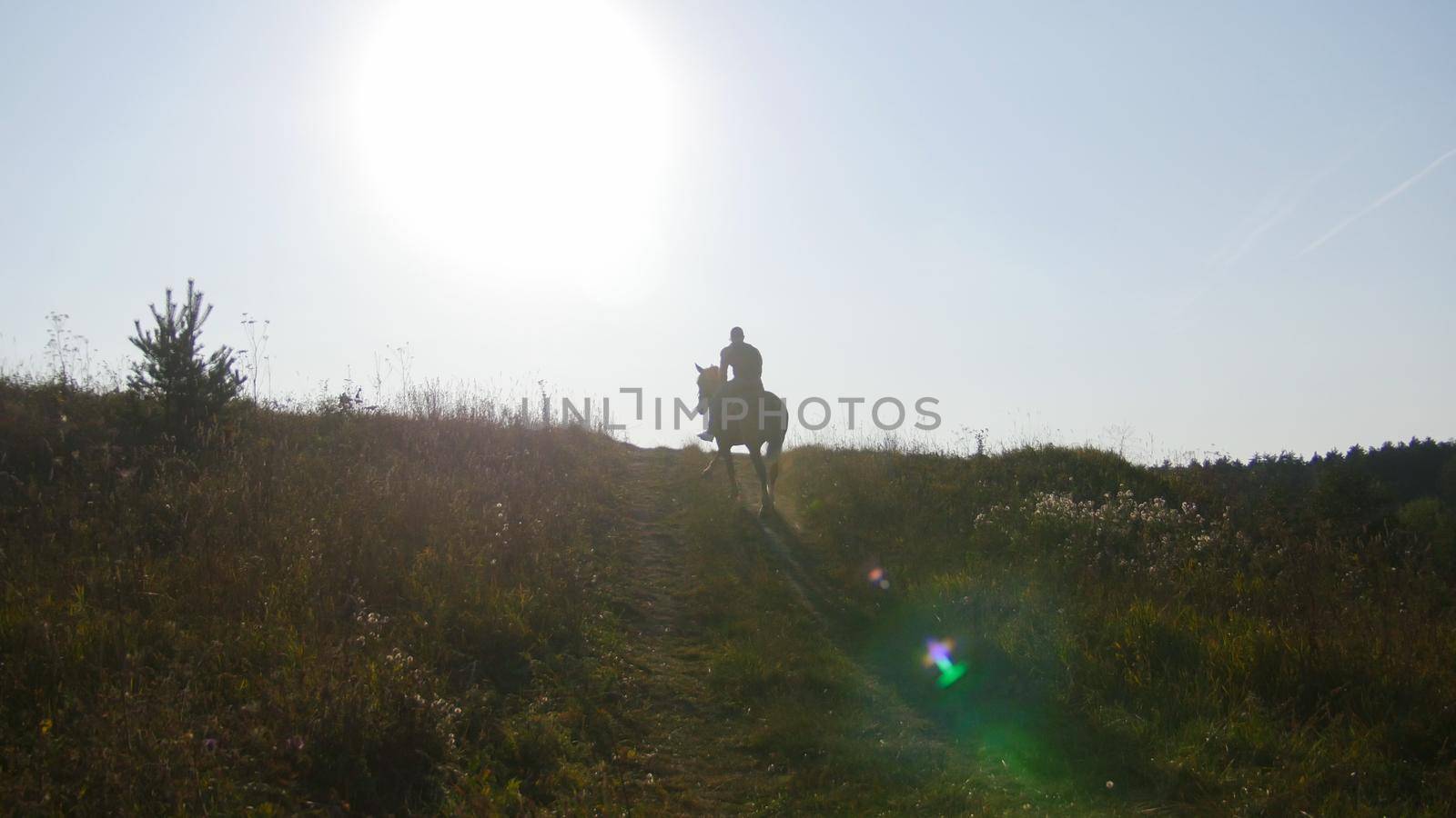 Handsome muscular man without shirt riding horse in natural bright sunlight distant plan