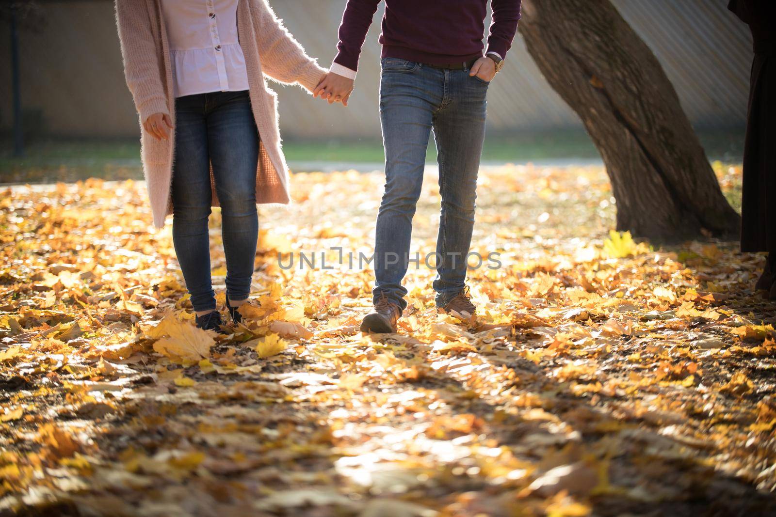 A cute young couple walking in autumn park holding hands. Front view