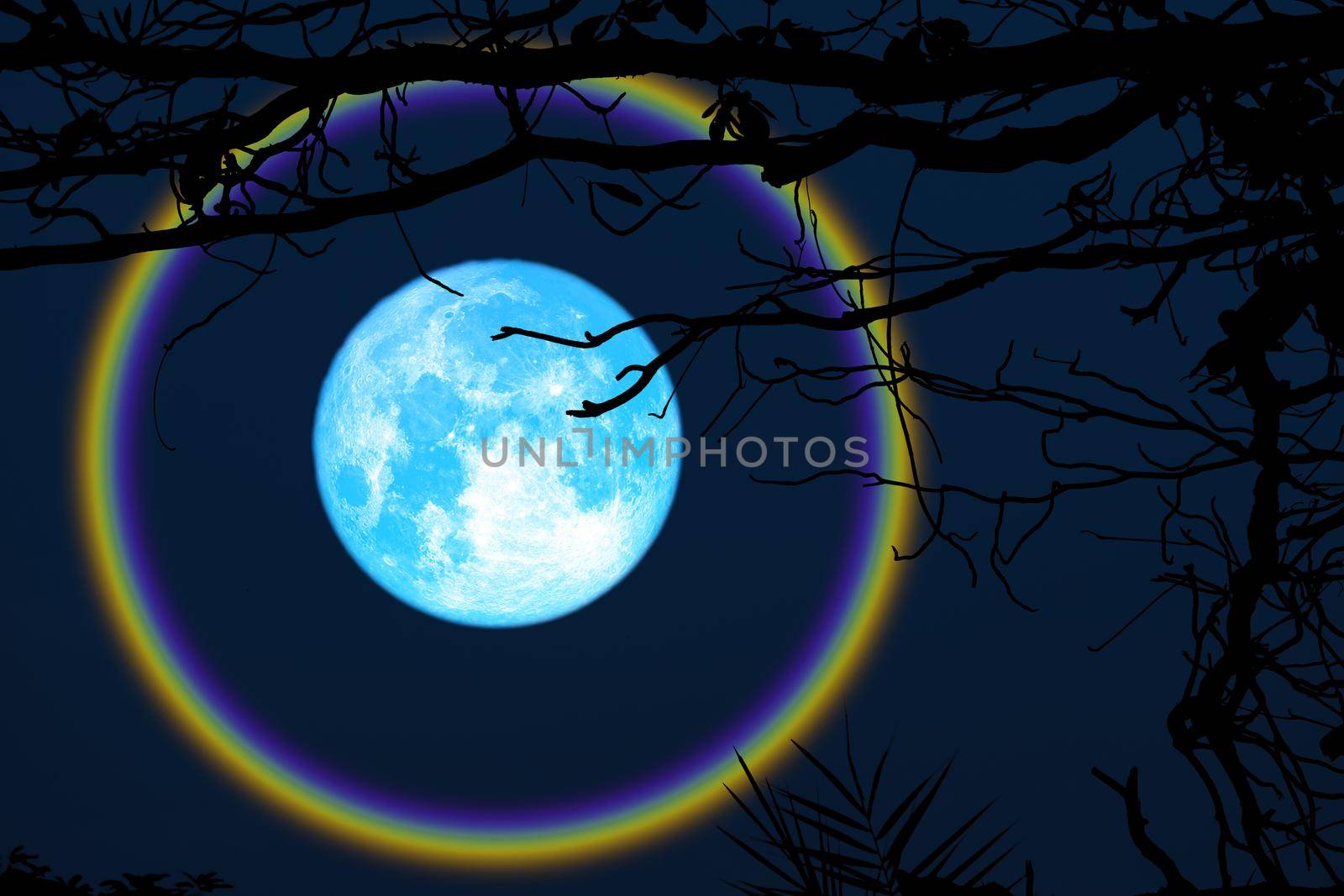 harvest blue moon halo branch trees in the night sky, Elements of this image furnished by NASA