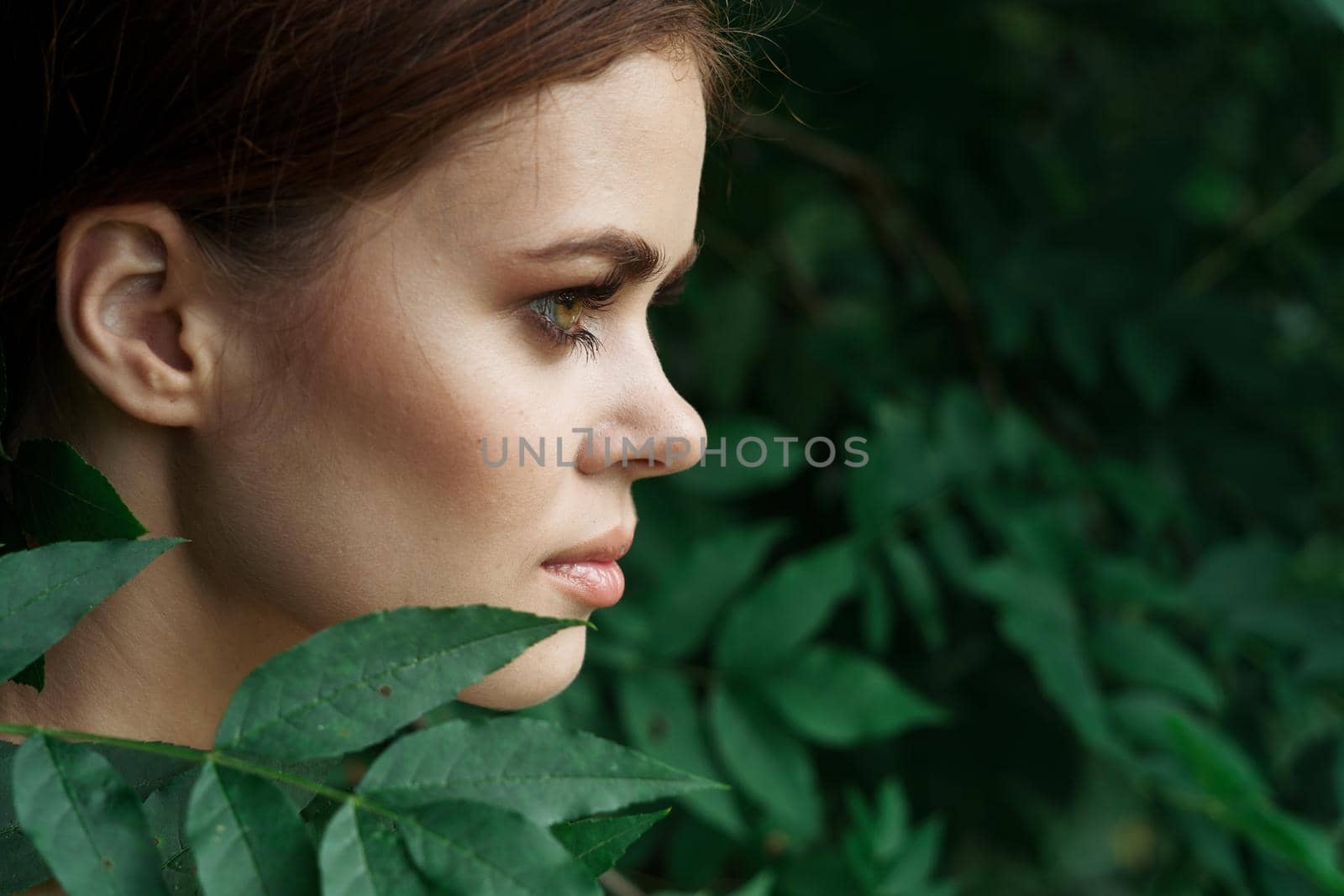 beautiful woman Cosmetology nature green leaves glamor Lifestyle. High quality photo