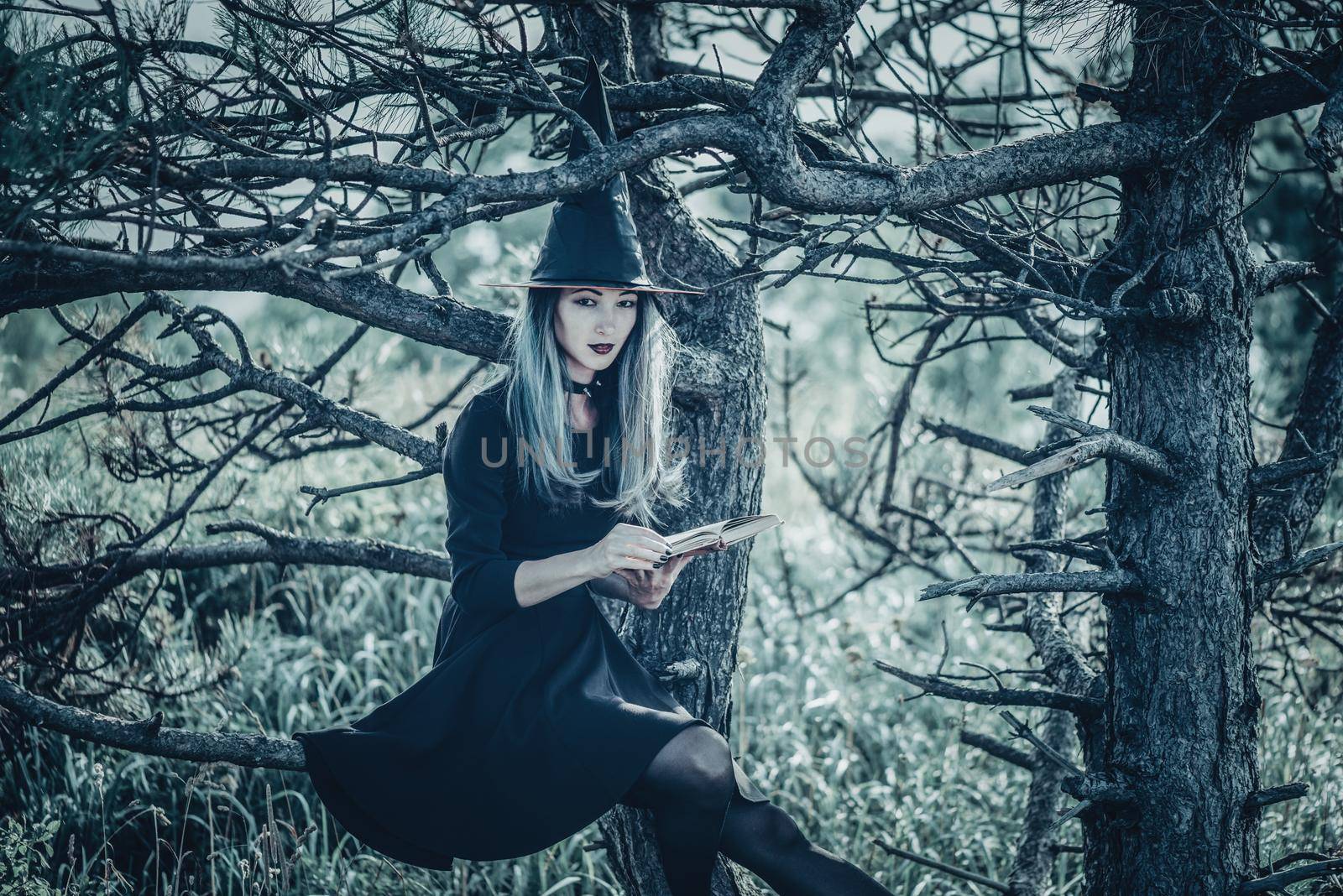 Gothic beautiful young witch with magic book sitting on old tree in autumn forest, looking at camera. Halloween theme