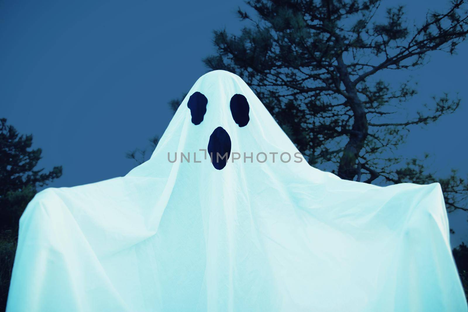 Spooky white ghost with black eyes walking in night forest. Halloween costume