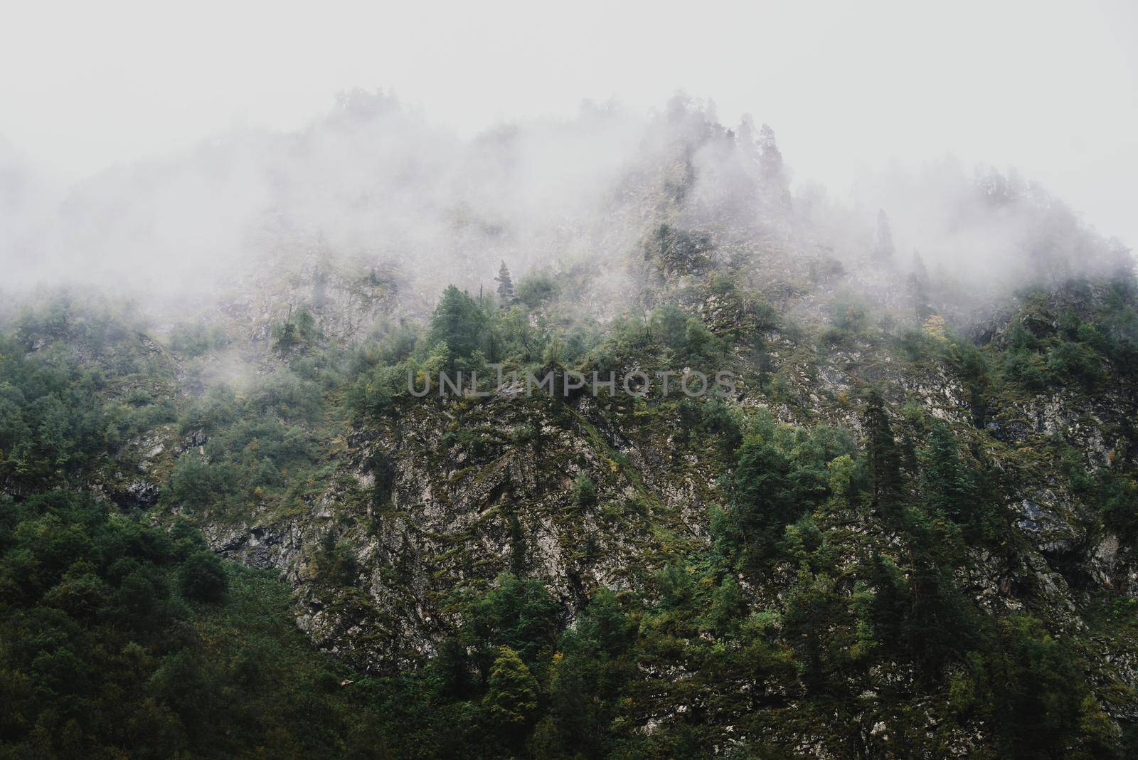 Mist in rock mountains, nature background