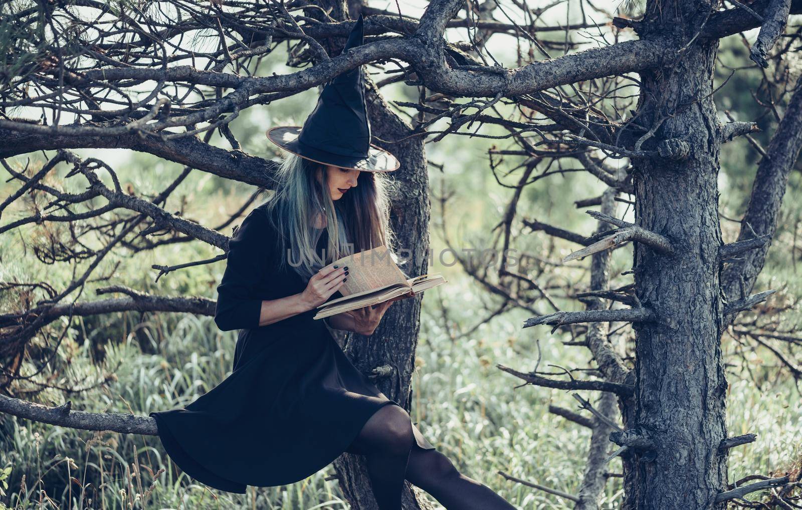 Witch reading a book in forest by alexAleksei