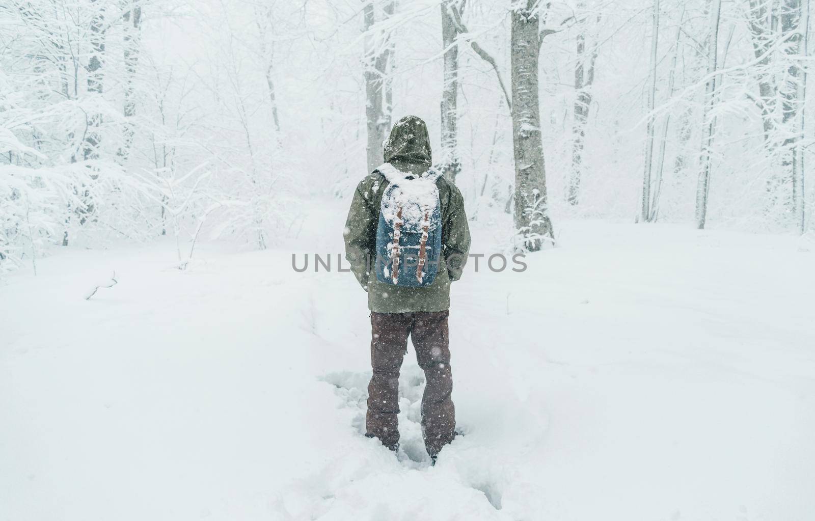 Unrecognizable traveler young man with backpack walking in snowy forest in winter, rear view