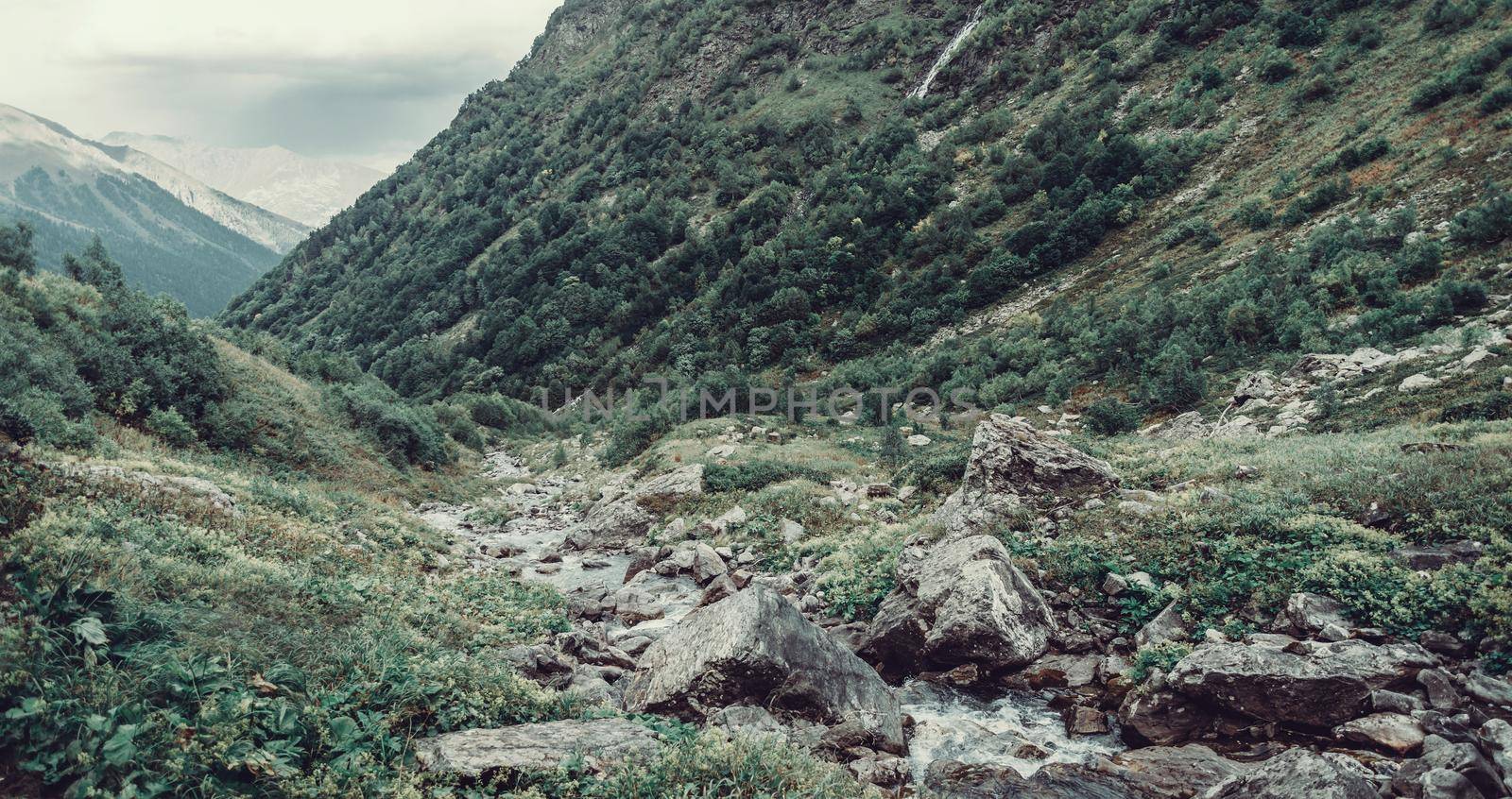 Mountain creek among green grass and stones in summer valley