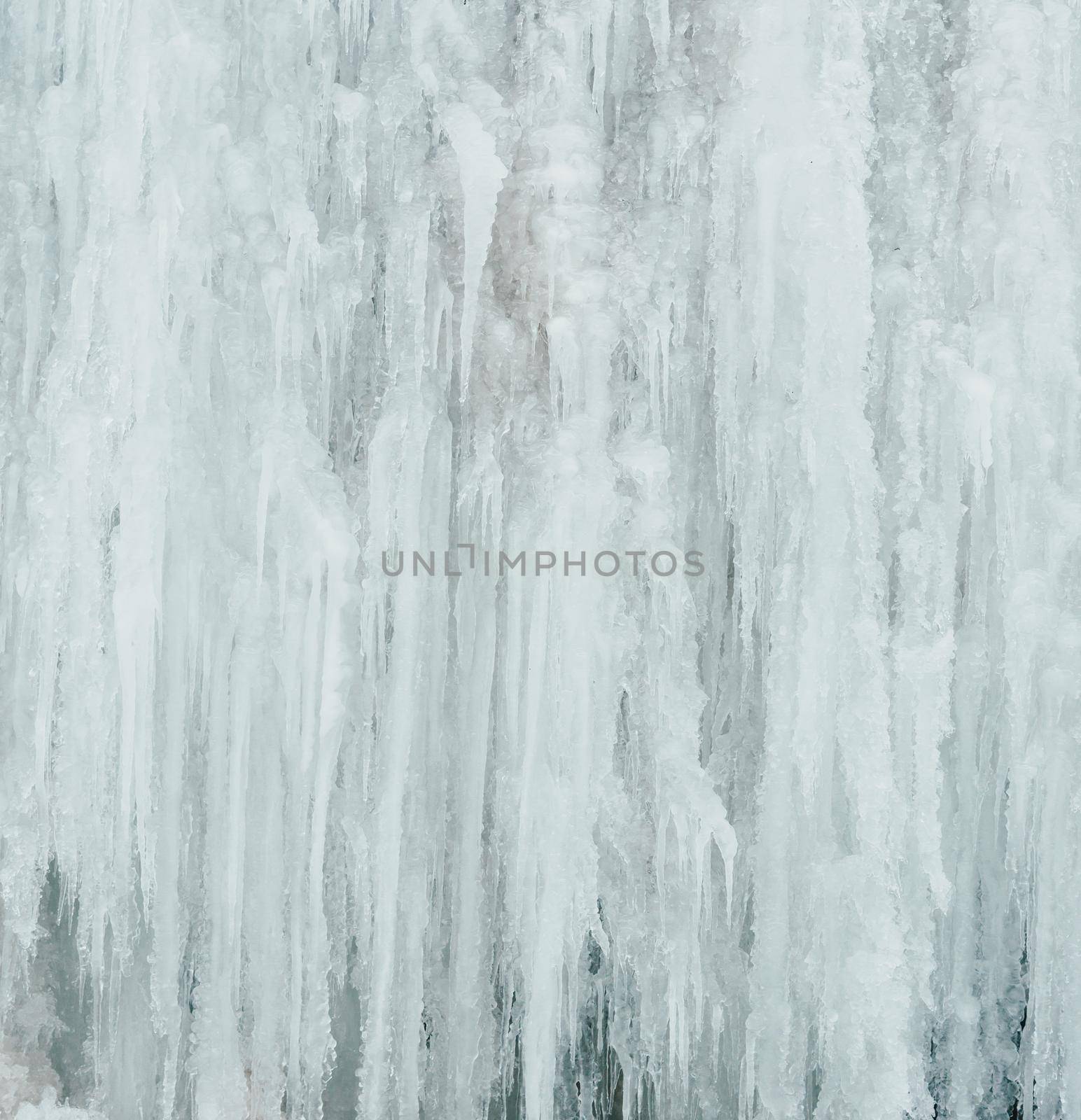 Winter nature background. Wall of big icicles