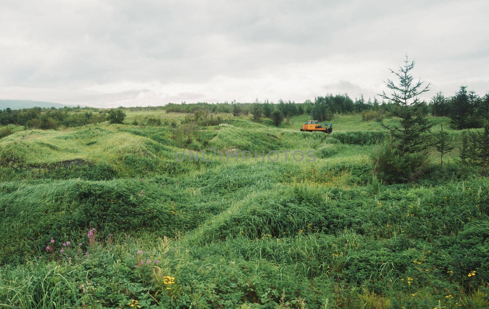 Small locomotive moving among summer landscape