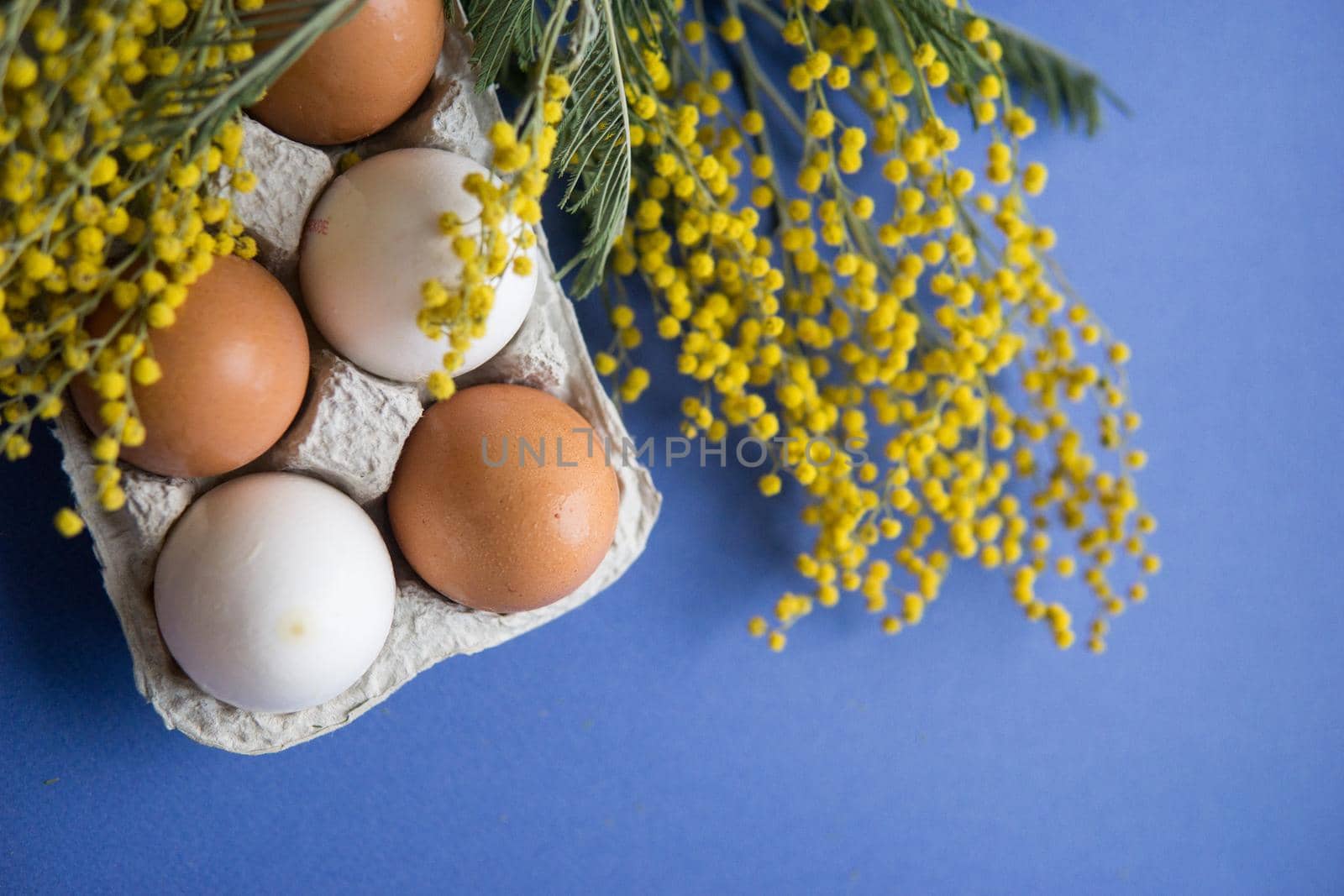 Easter background, eggs on a blue background, decorated with Mimosa flowers, flatlay, top view, happy Easter.