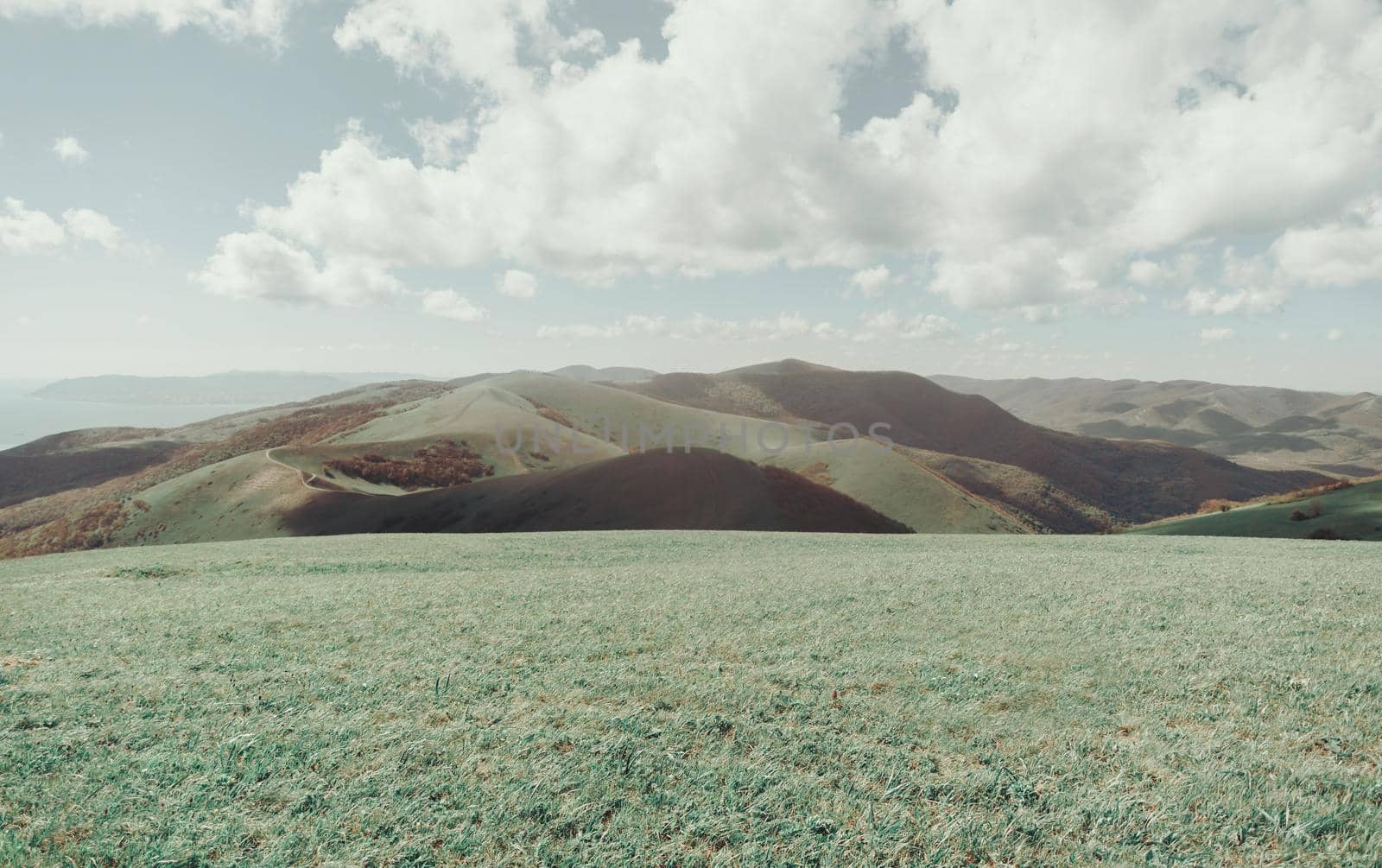 Mountain summer landscape. by alexAleksei