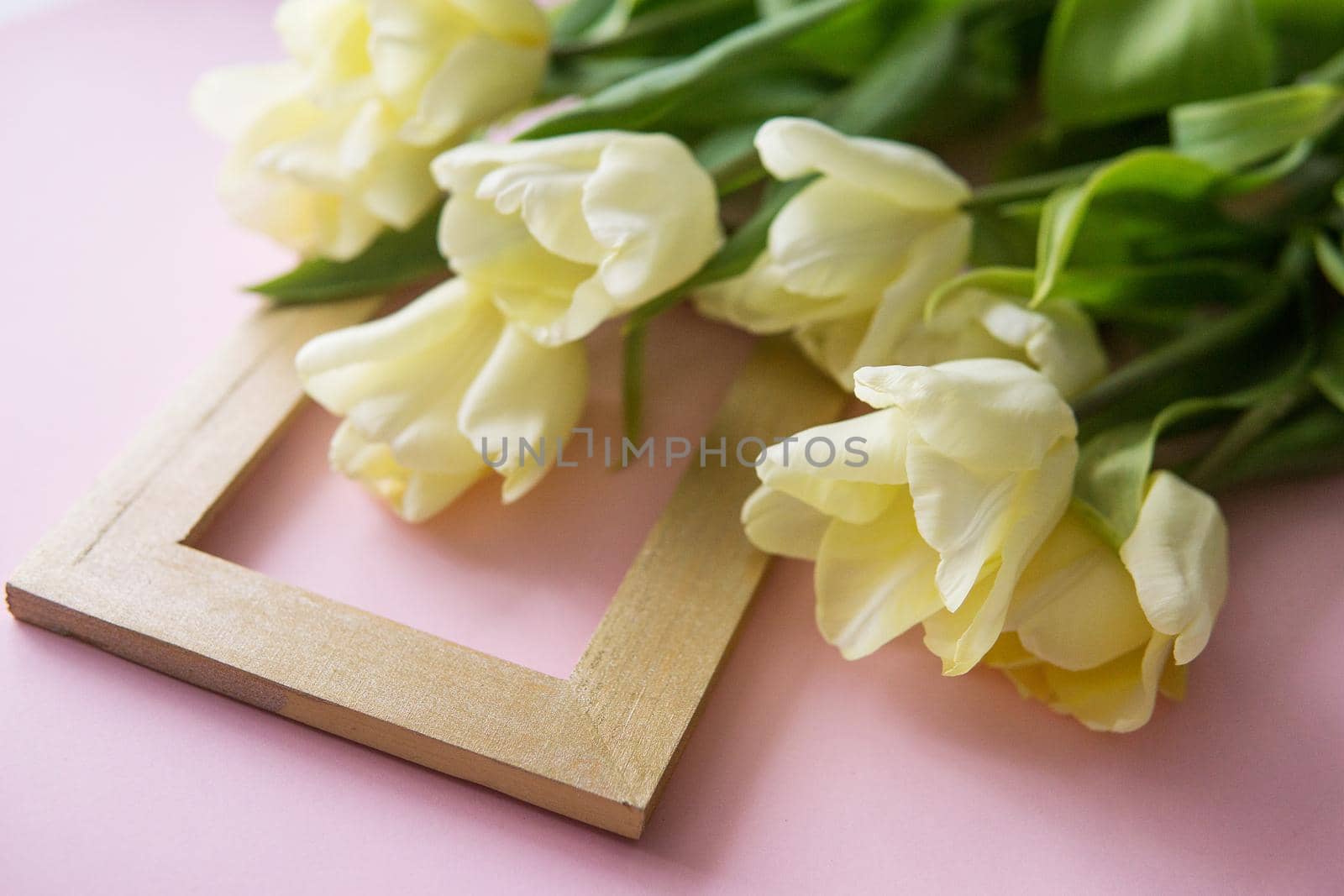 Yellow Tulip flowers are arranged on a pink background. The view from the top, flat lay. Empty space for the text. Spring concept. Women's day. Mother's day.