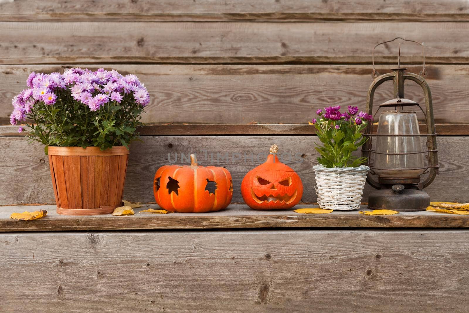 halloween pumpkins near flowers with old lantern on wooden stairs. garden decoration with yellow autumn leaves