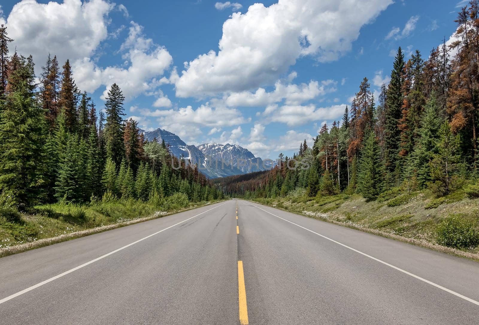 Straight road through Death Valley, California, highway at sunset with space for text