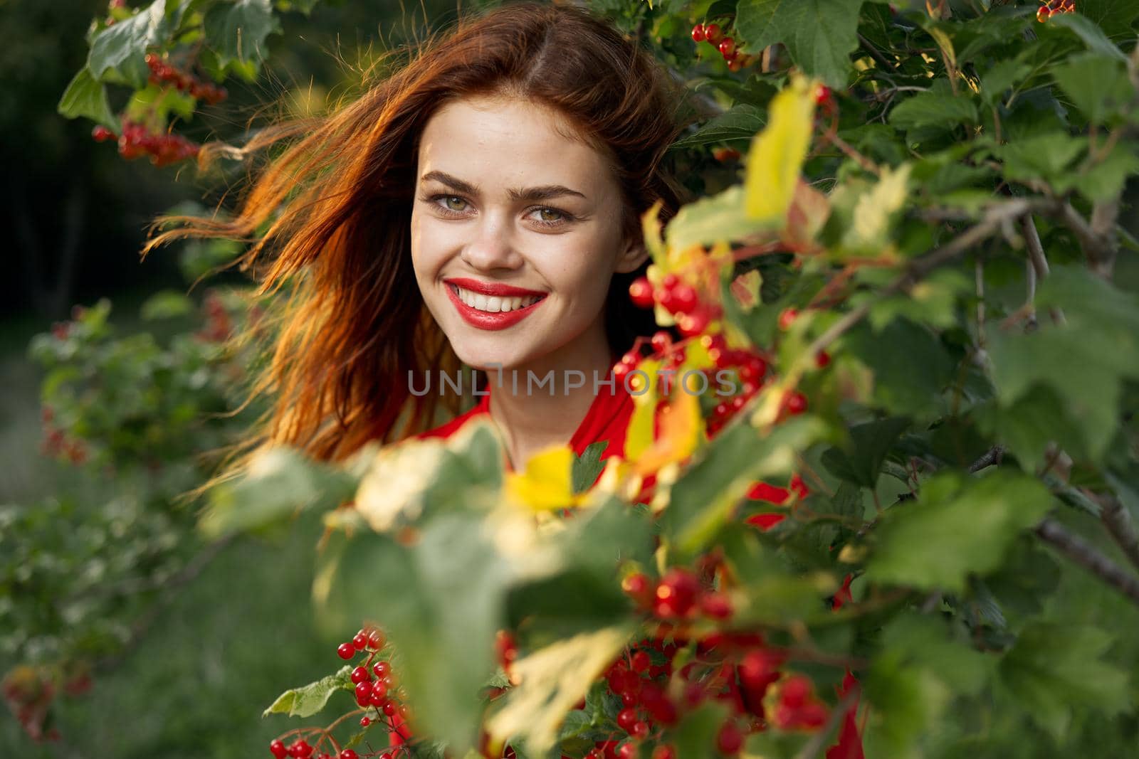 women near bushes nature berries summer lifestyle. High quality photo