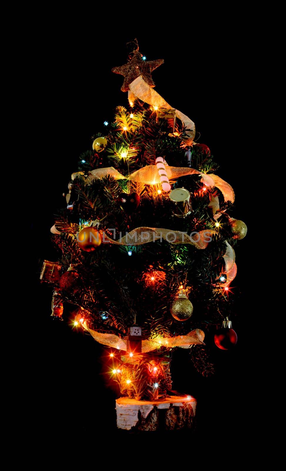 Little Christmas tree from pine branches on a black background