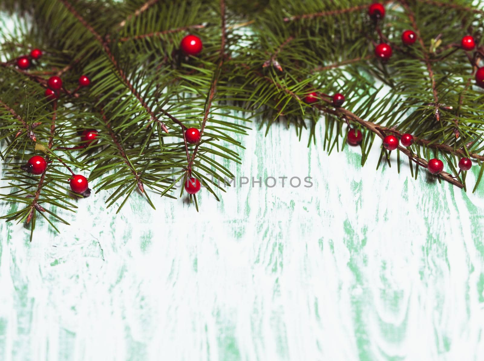 Fir brahcnes with holly berries by oksix