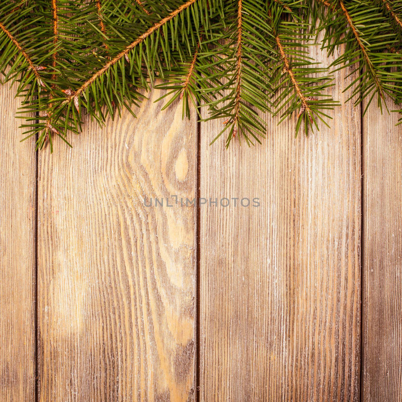 Christmas border evergreen on the wooden background