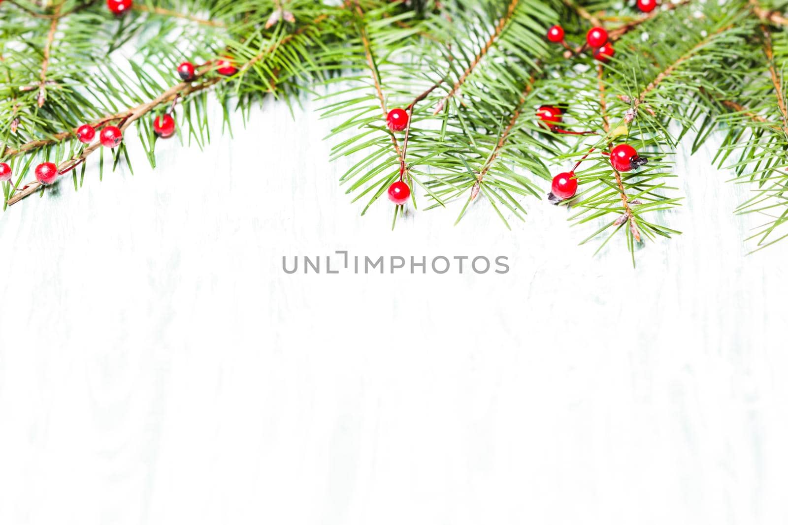 Fir brahcnes with holly berries on a wooden background. Copy text for Christmas greetings