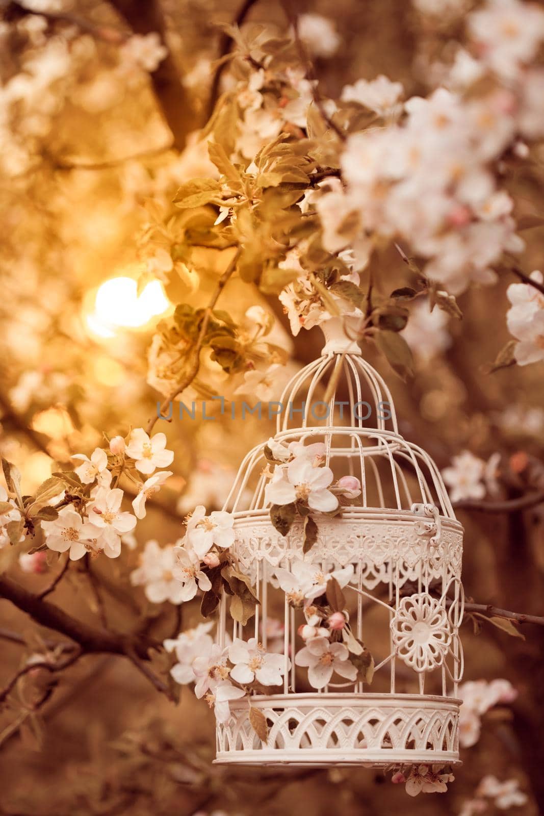 bird cage - romantic decor by oksix