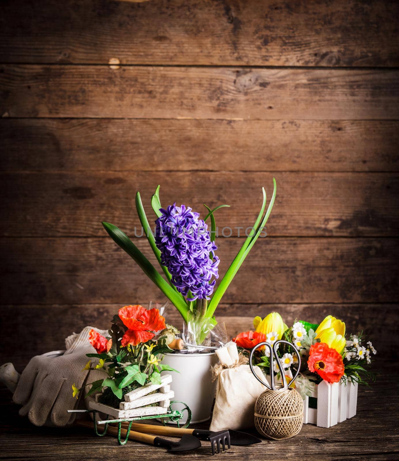 Garden tools for flowers over wooden background