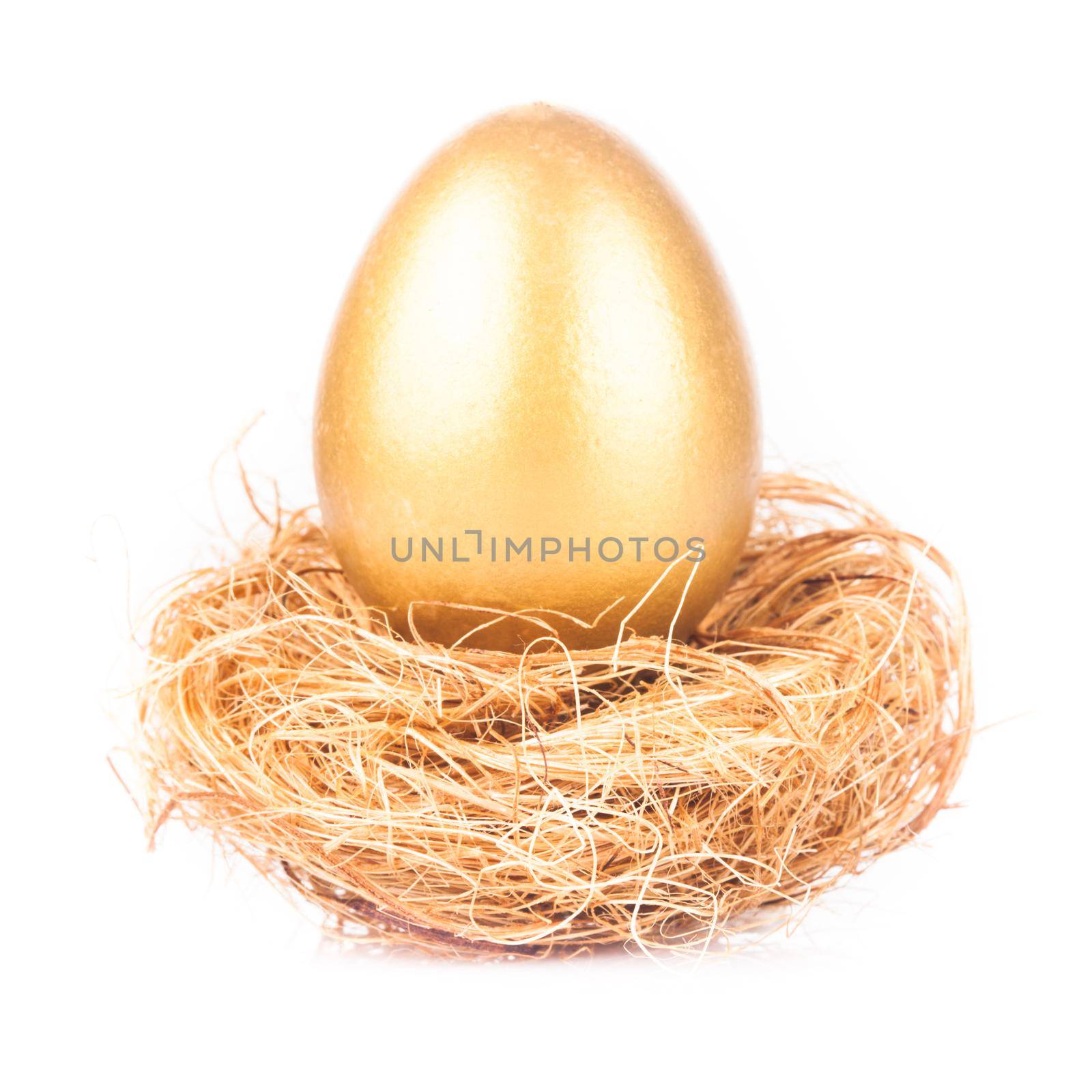 golden egg in nest by oksix