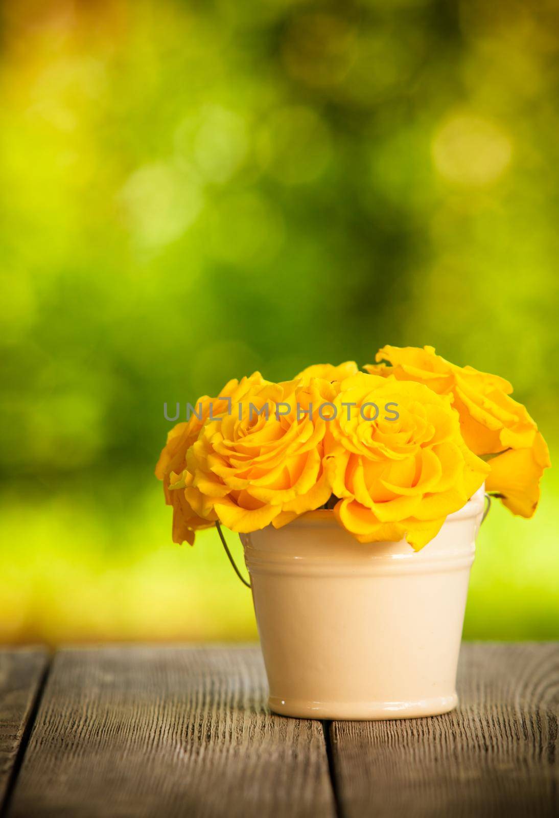 roses in the bucket outdoor on the table