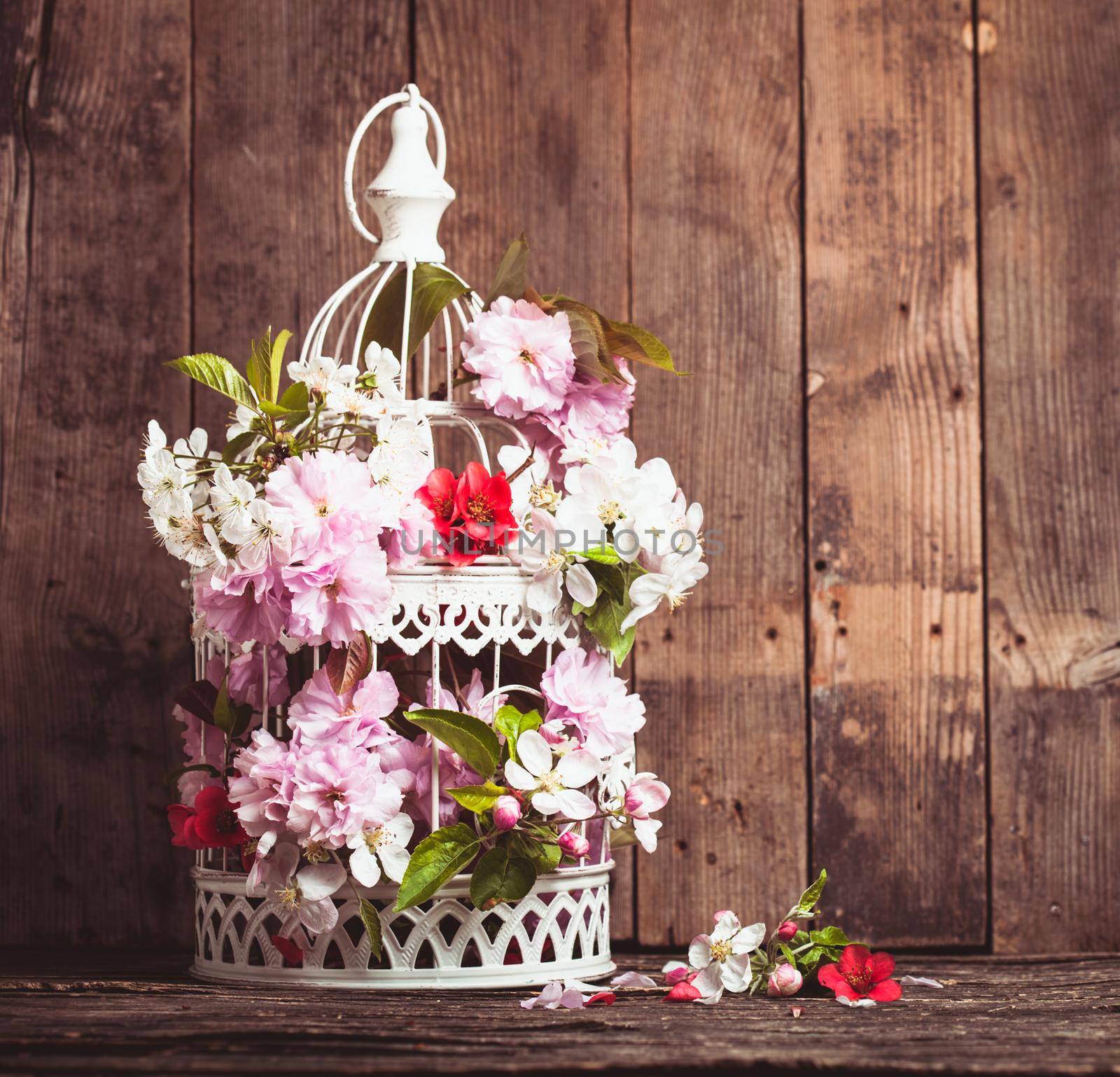 Bird cage with spring blossom of sakura and fruit flowers. Wedding decorations with copy space