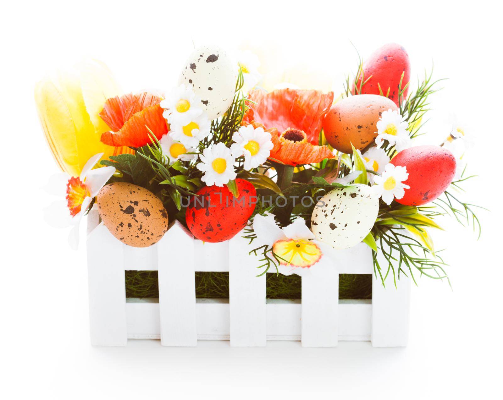 Easter decorations: flowers and eggs isolated on white