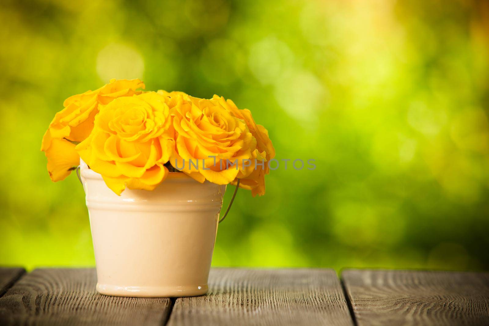 roses in the bucket outdoor on the table