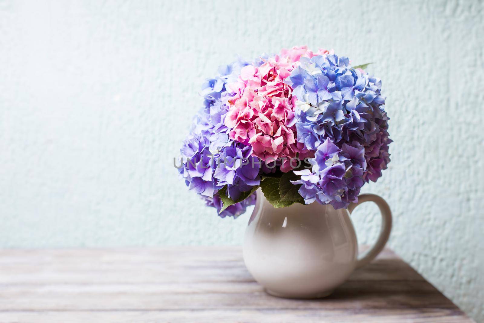 Hydrangea flowers in a white jug on the shabby wooden table