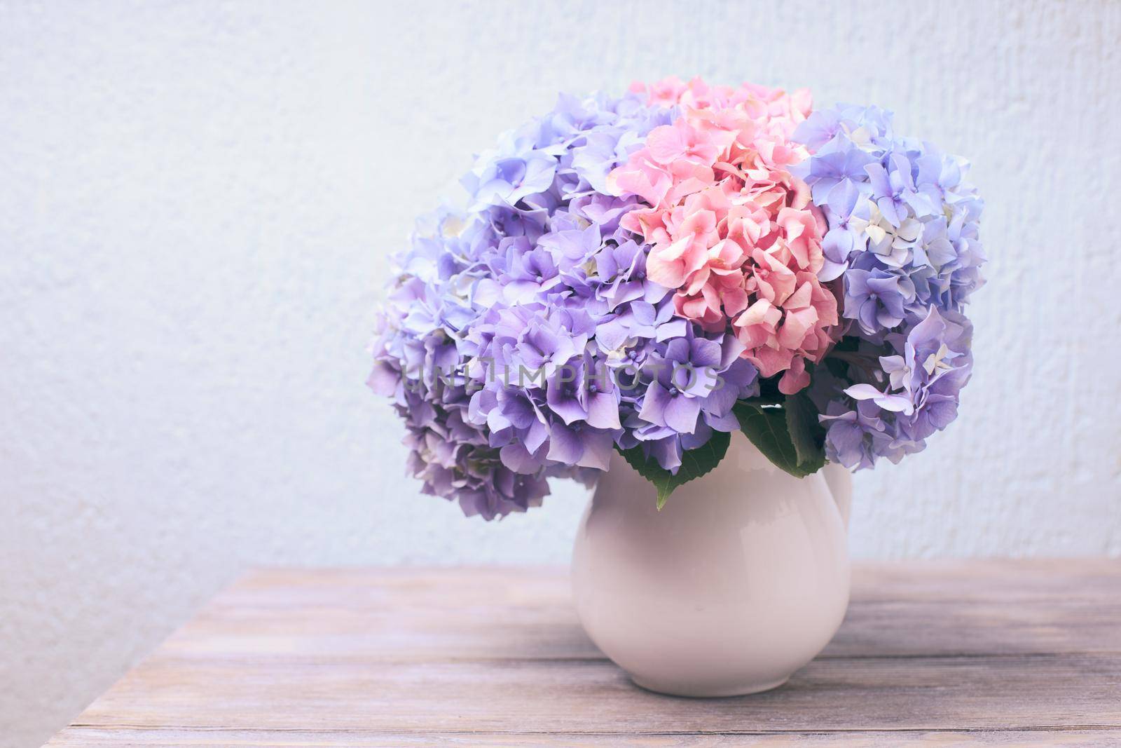 Hydrangea flowers in a white jug on the shabby wooden table