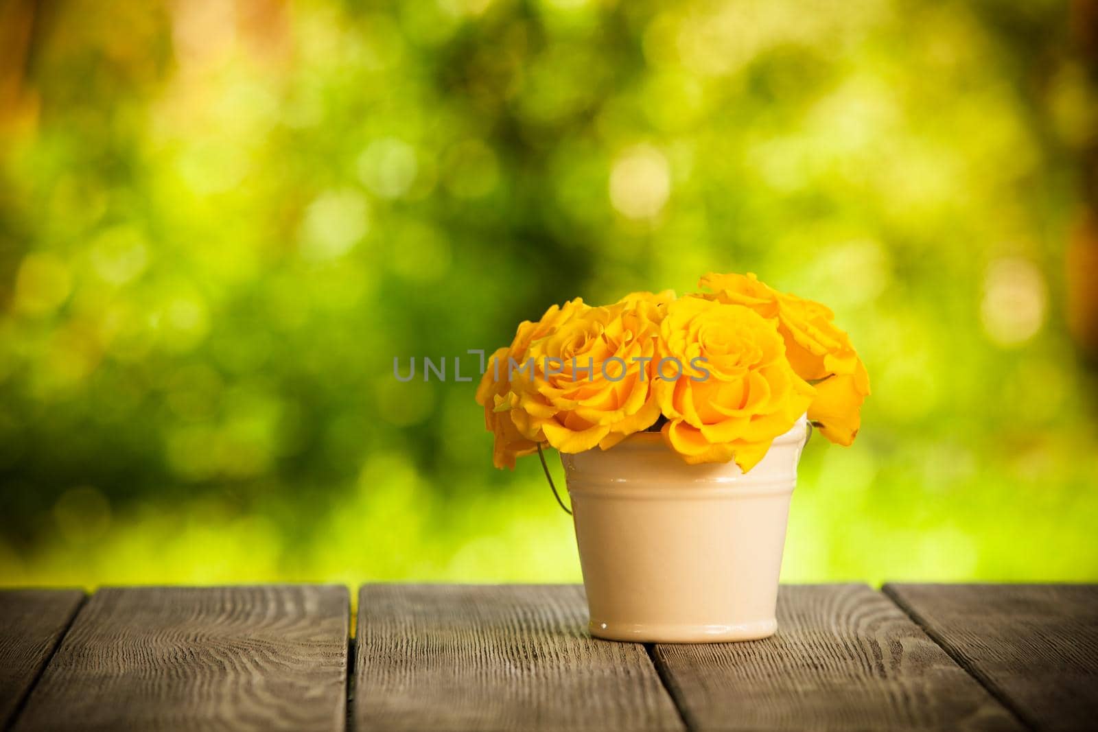 roses in the bucket outdoor on the table