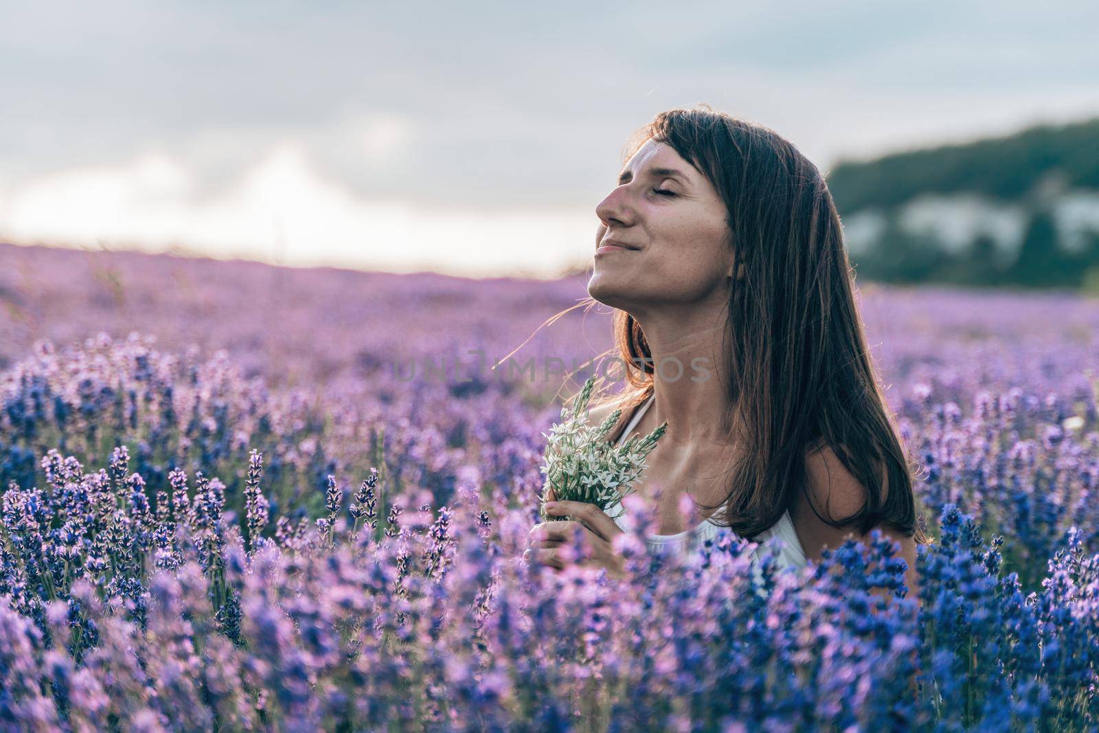 Close up portrait of happy young brunette woman in white dress on blooming fragrant lavender fields with endless rows. Warm sunset light. Bushes of lavender purple aromatic flowers on lavender fields. by panophotograph