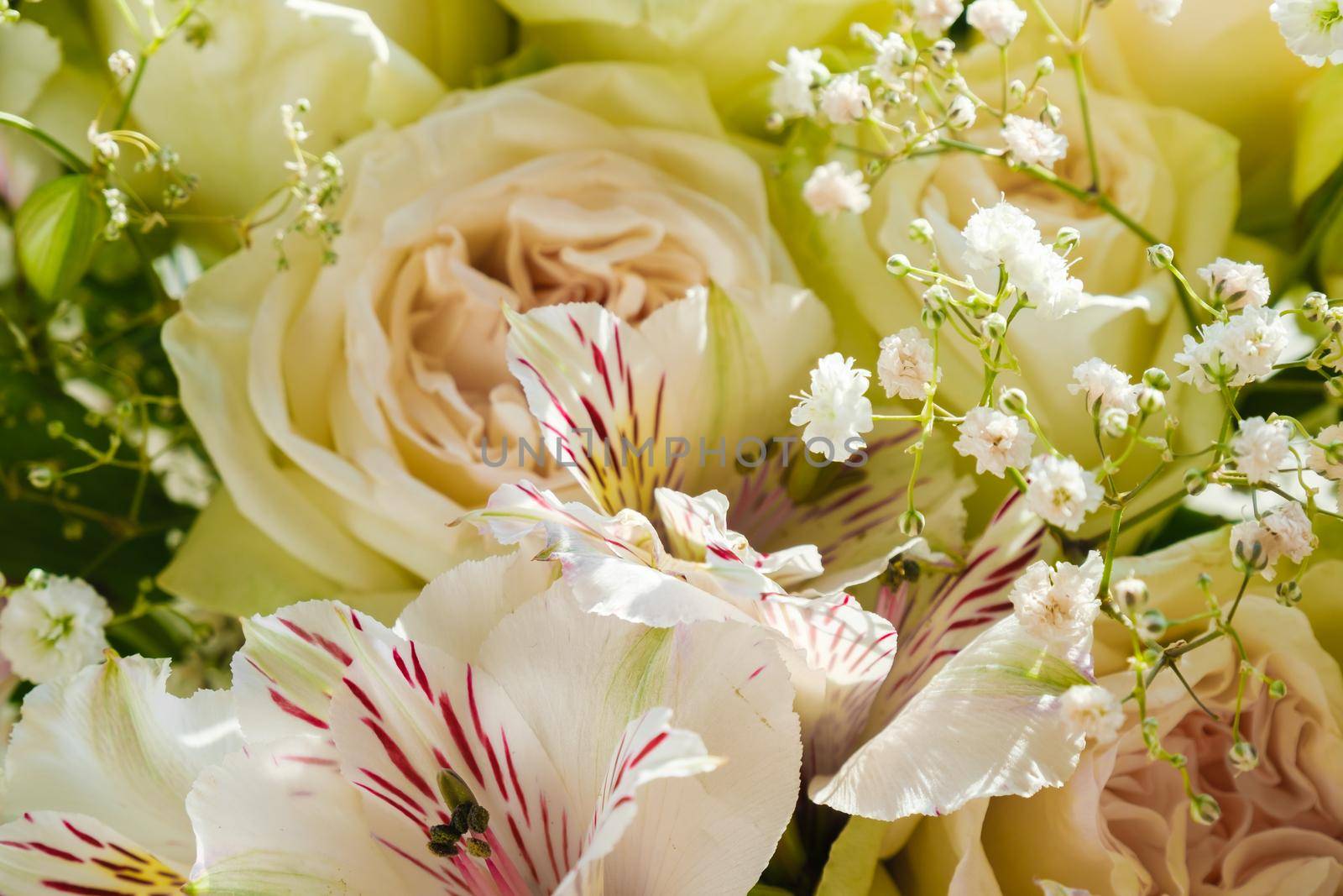 Bouquet of rose flowers and alstroemeria close-up by vollirikan
