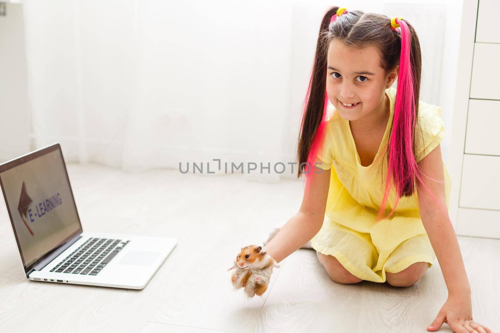 Cheerful young little girl with a pet hamster using laptop computer studying through online e-learning system at home. Distance or remote learning