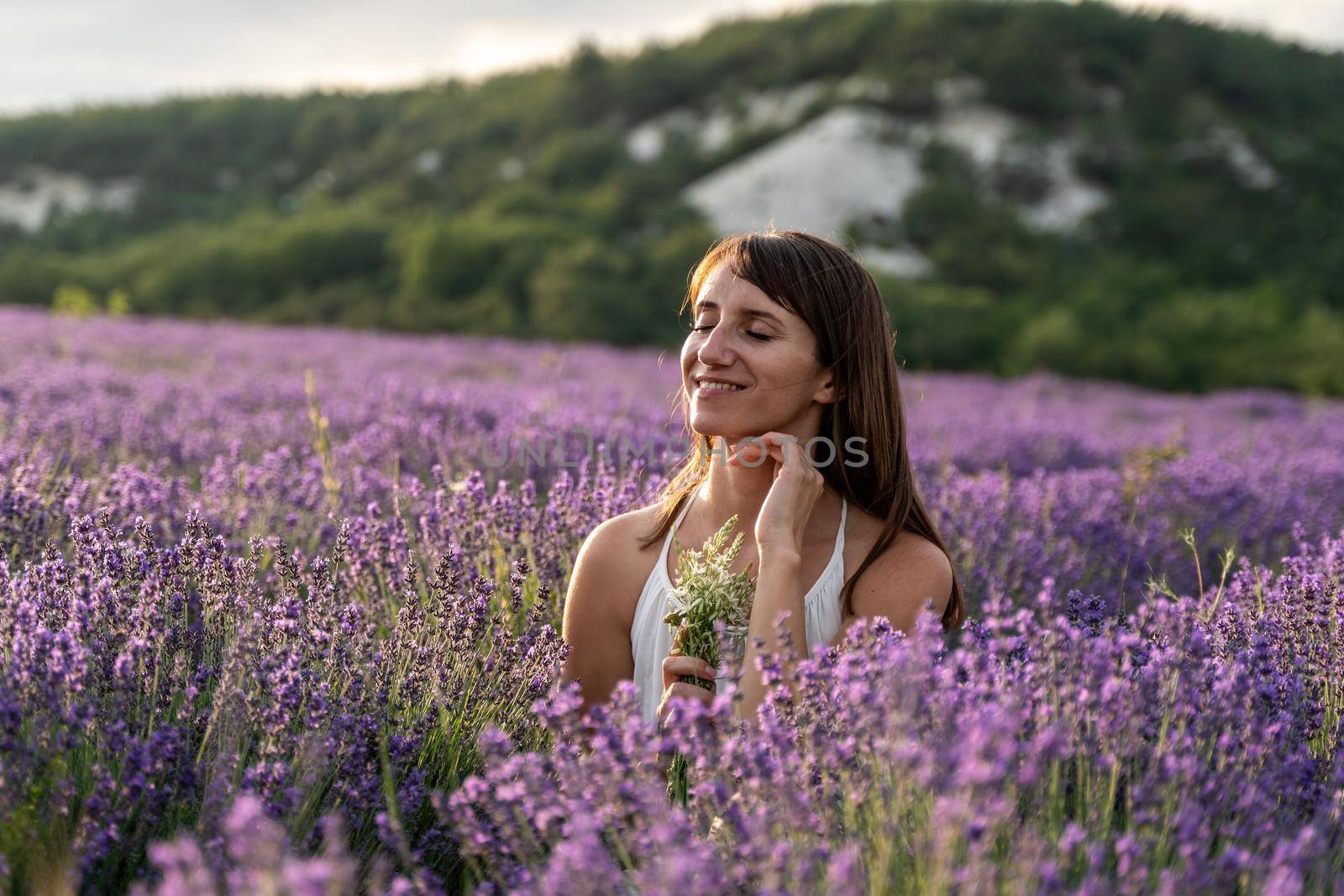 Lavender flower blooming scented fields in endless rows. Selective focus on Bushes of lavender purple aromatic flowers at lavender field. Abstract blur for background.