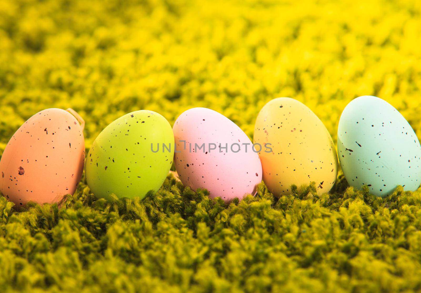 Easter eggs on the grass carpet, holiday decorations