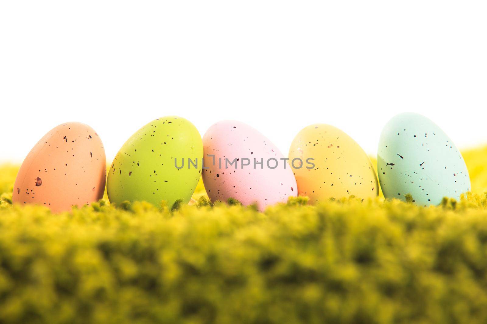 Easter eggs on the grass isolated for design