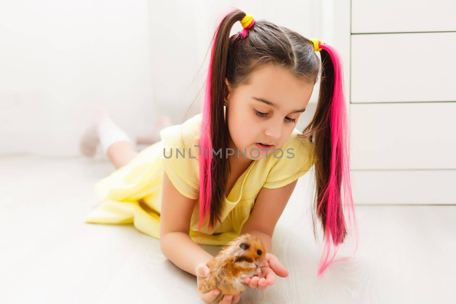 Little girl watching her hamster closely