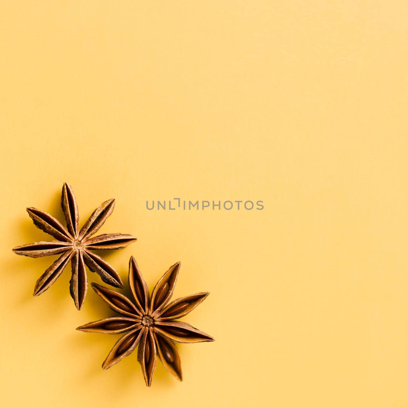 cute star anise with orange background by Zahard