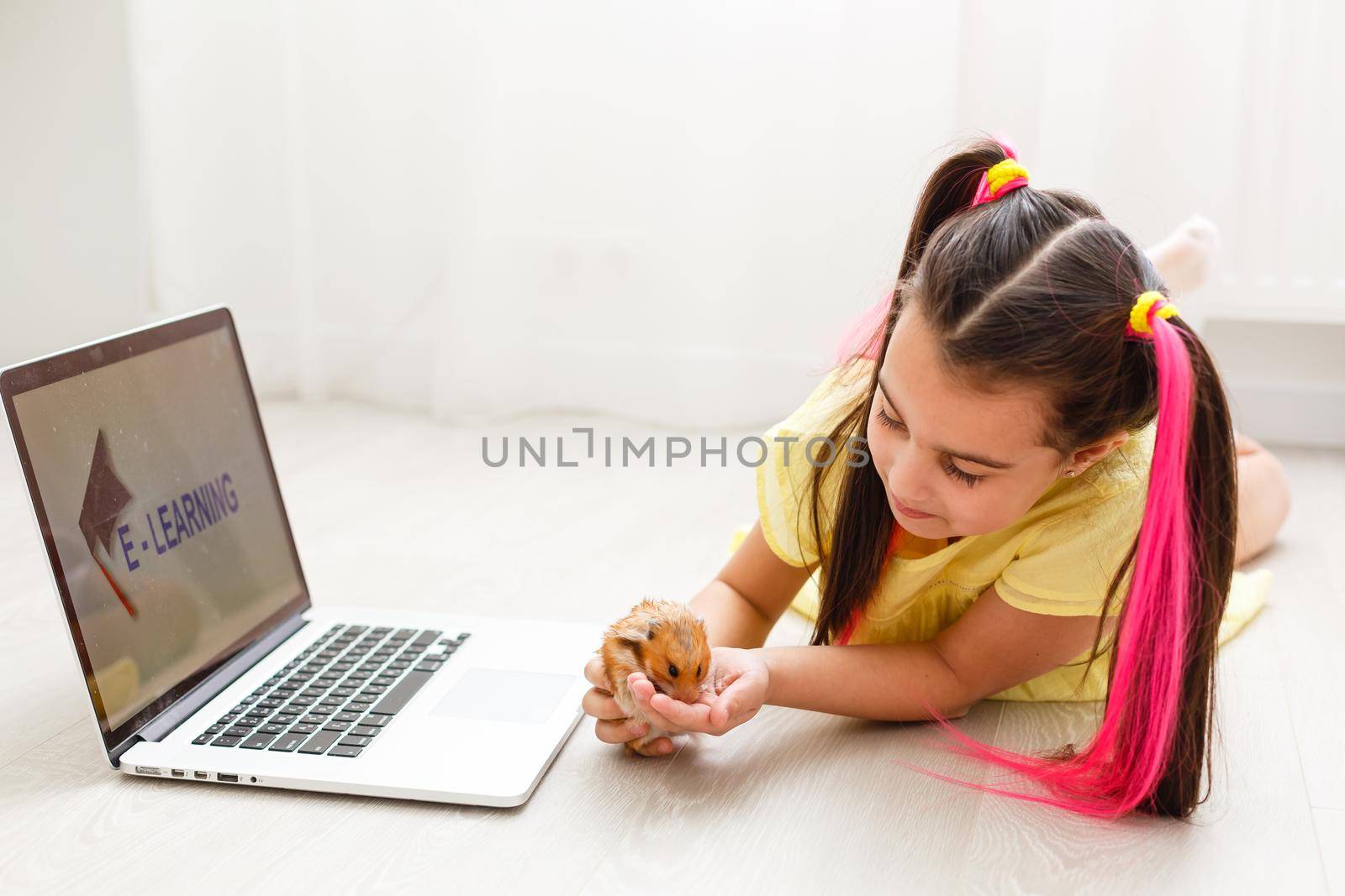 Cheerful young little girl with a pet hamster using laptop computer studying through online e-learning system at home. Distance or remote learning