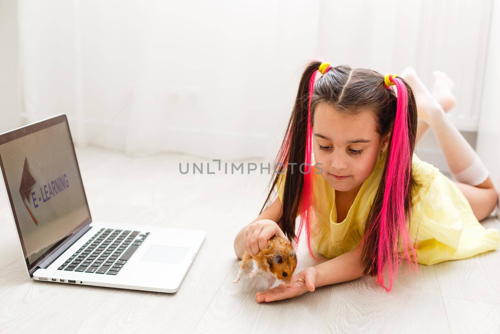 Cheerful young little girl with a pet hamster using laptop computer studying through online e-learning system at home. Distance or remote learning