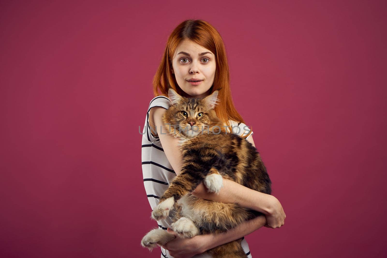 woman holding fluffy cat in her arms pet friendship pink background. High quality photo
