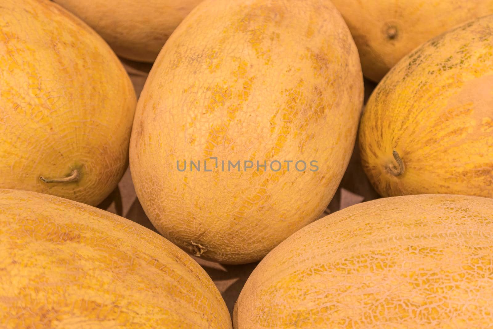 ripe yellow melons close-up as a background. High quality photo