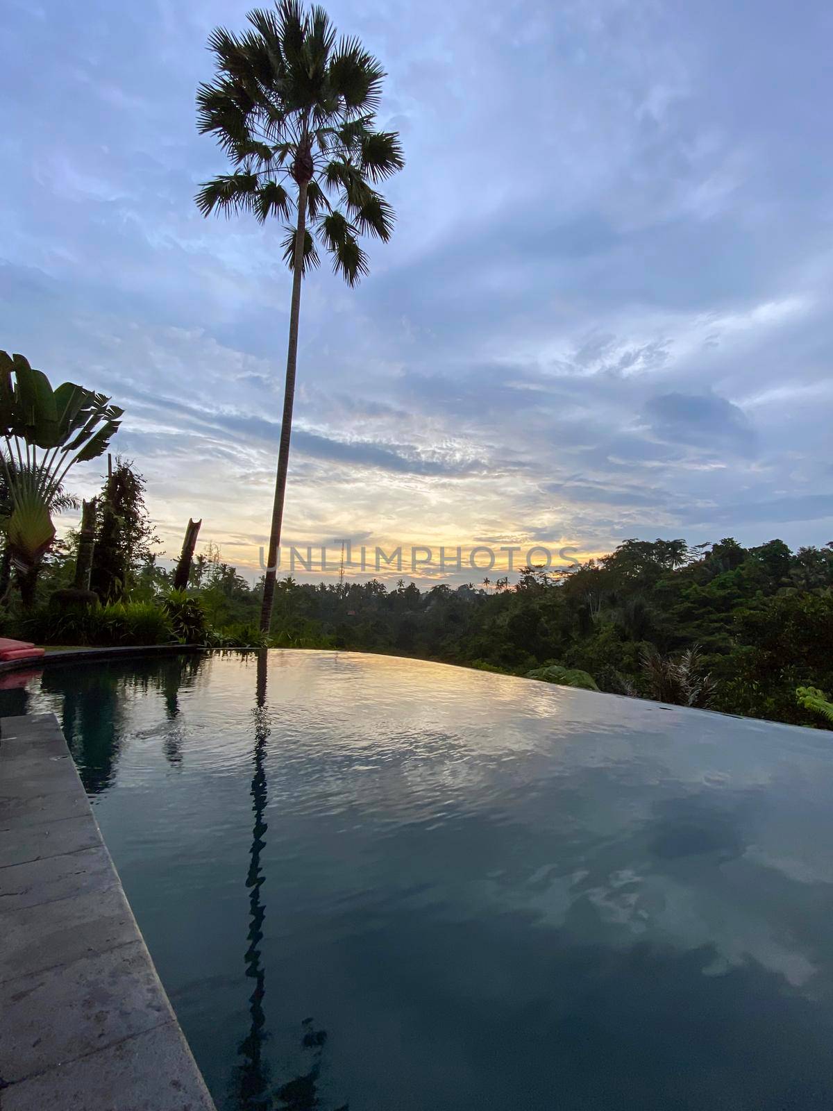 View of the beach shoreline. In the foreground, trees and sky are reflected in the pool. Island of Bali