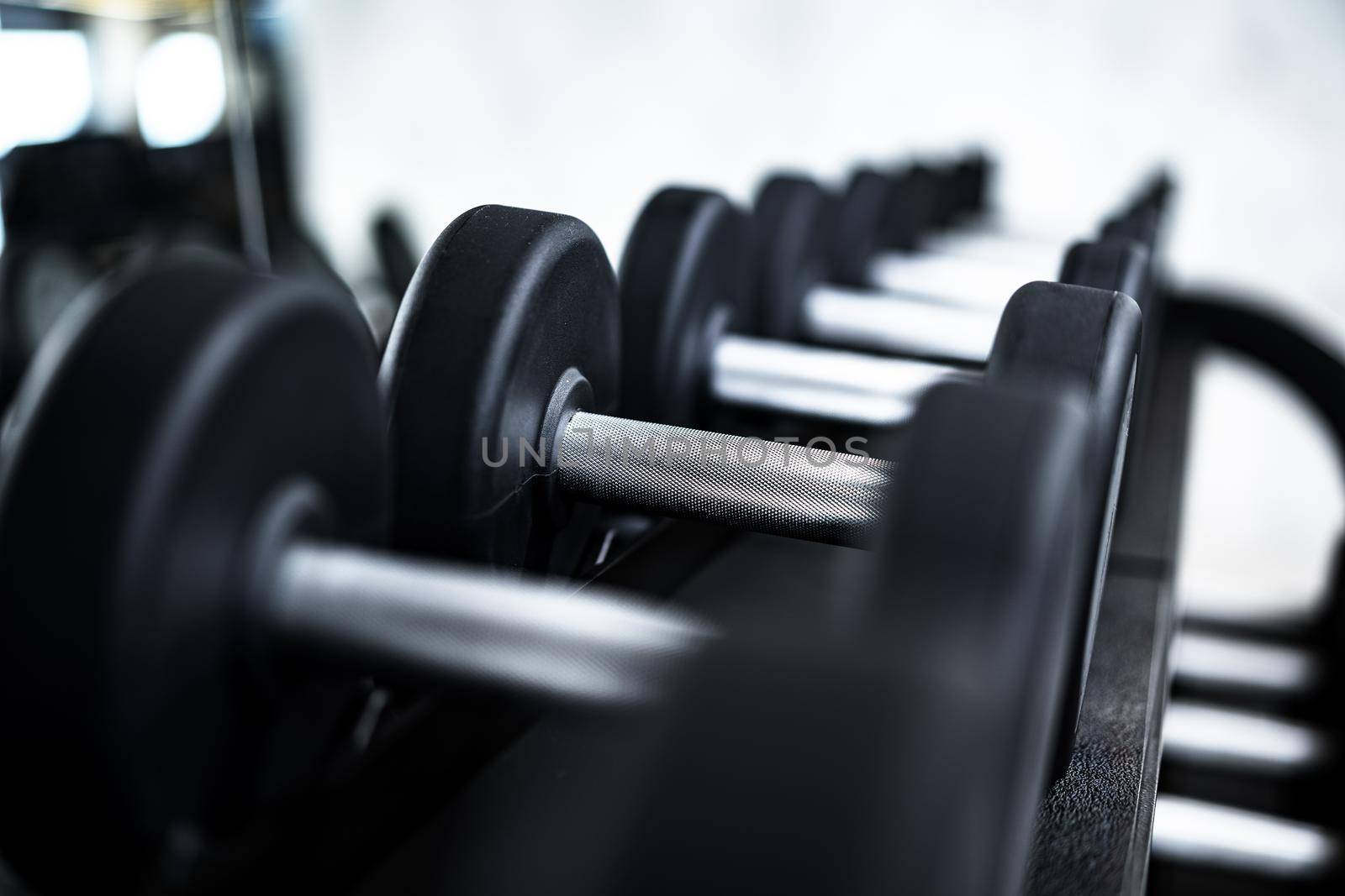 Close up photo of new dumbbells on a rack in a gym