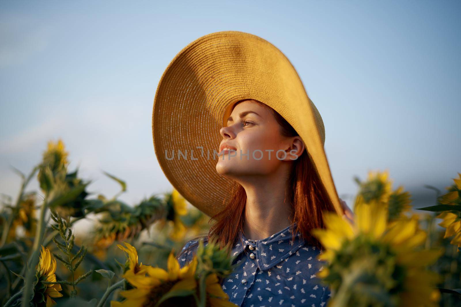 pretty woman with hat in the field of sunflowers freedom nature. High quality photo