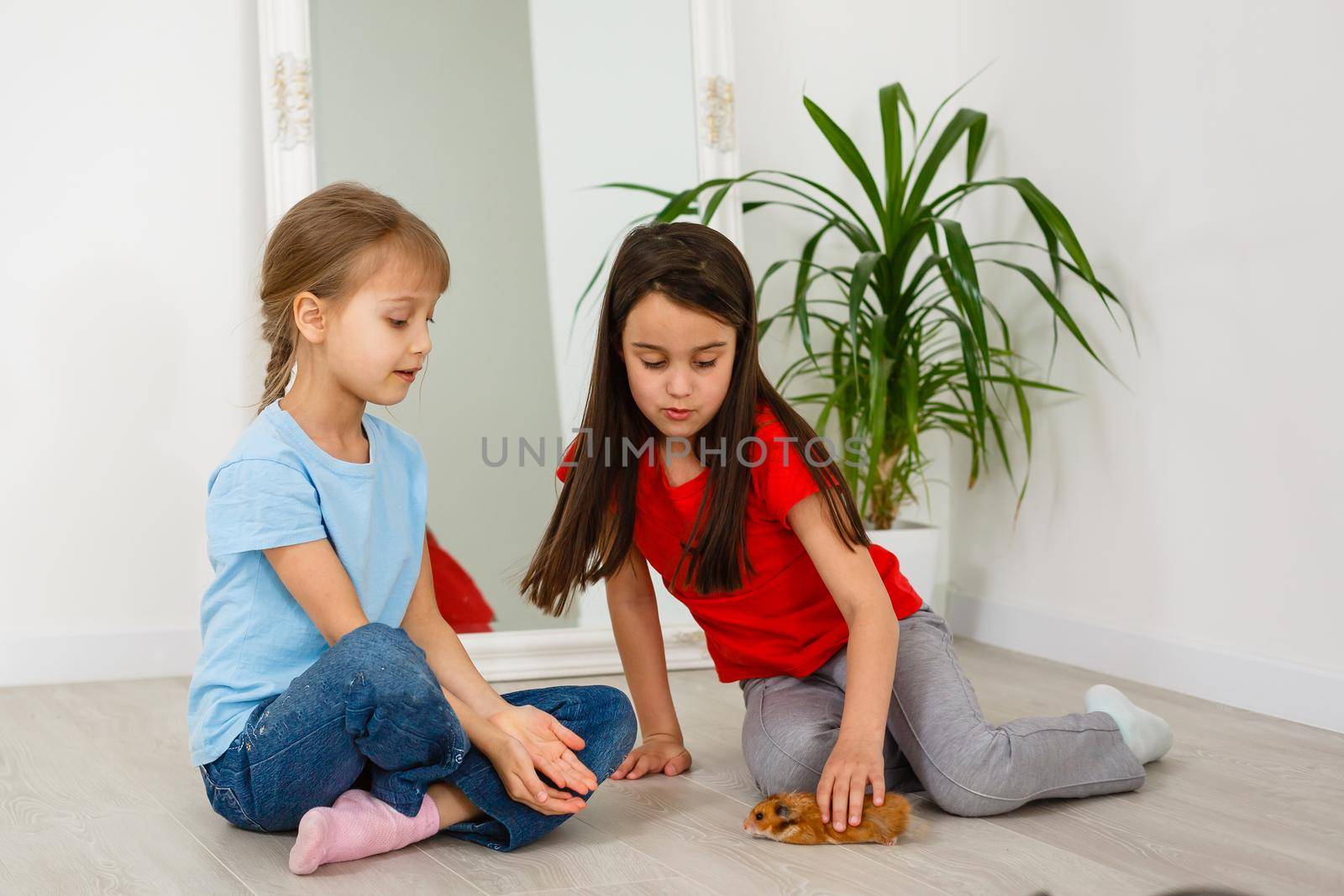 two little girls play with a hamster on the floor at home