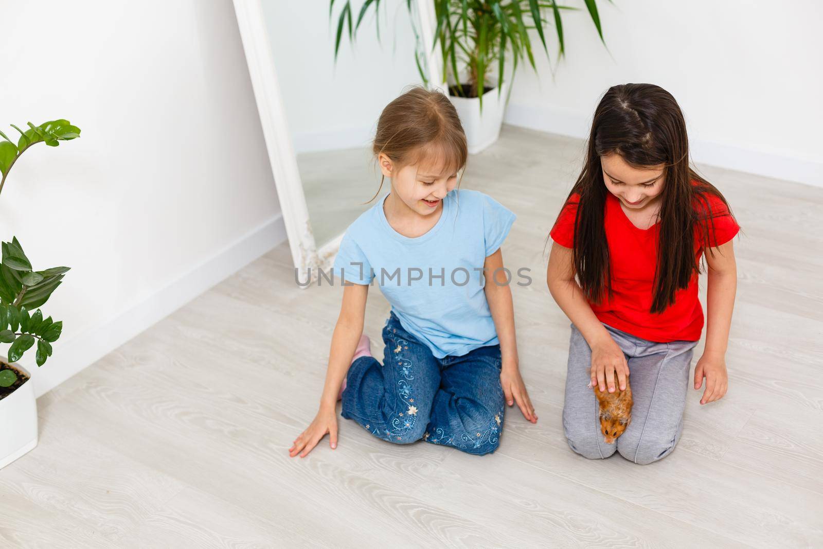 two little girls play with a hamster